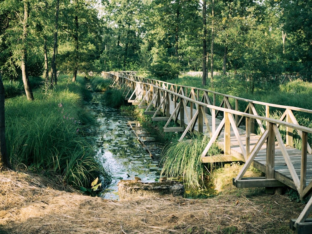 Photo Nature reserve