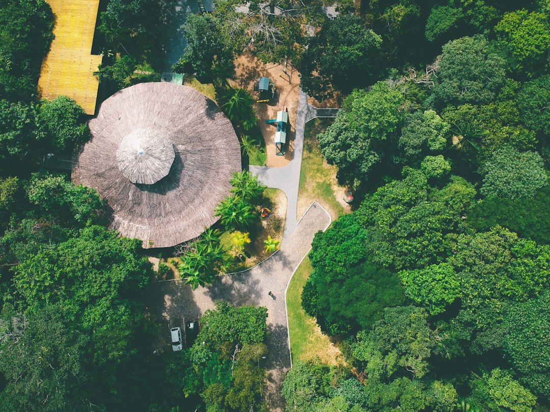 Photo Green rooftops