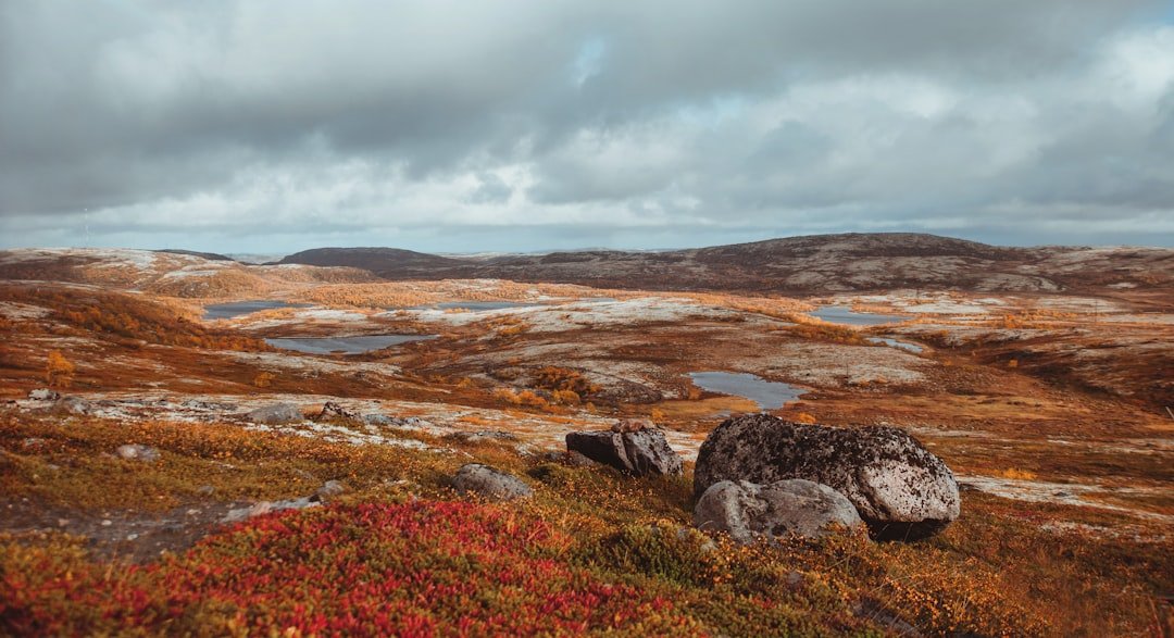 Photo Thawing tundra