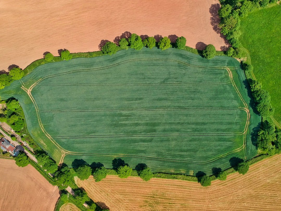 Photo Agricultural field