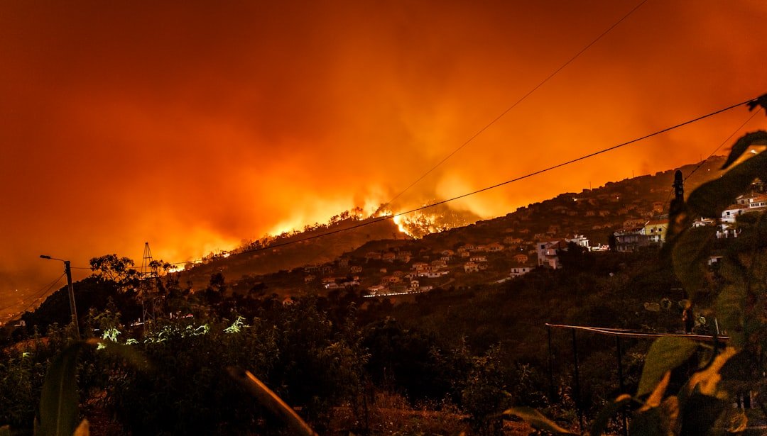 Photo Burning forest