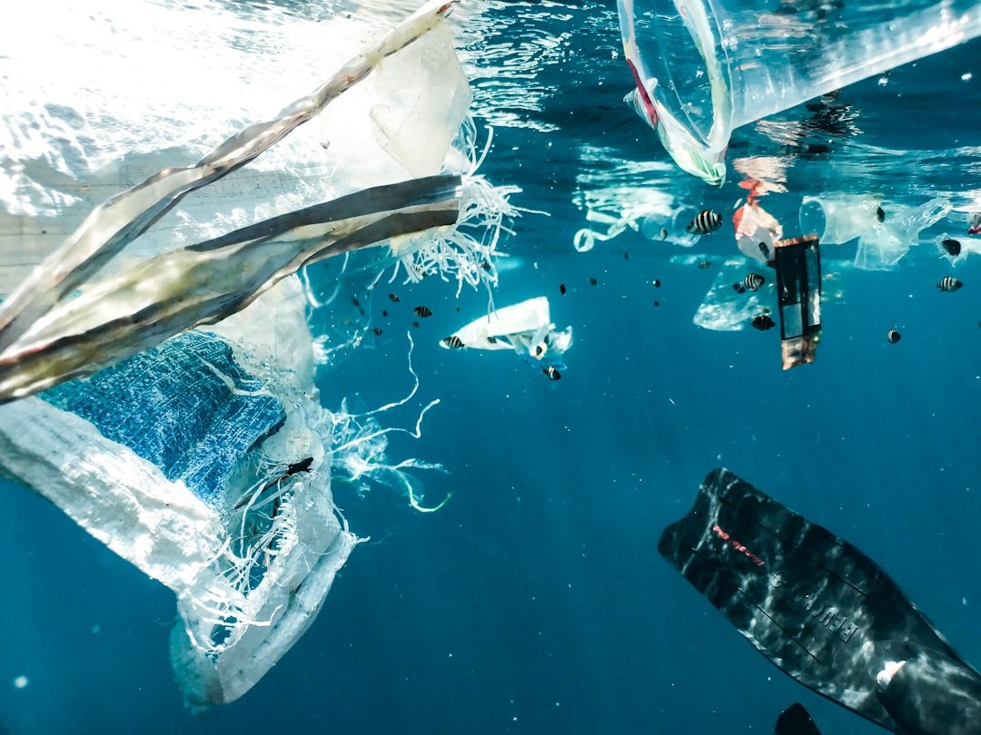 Photo Plastic pollution