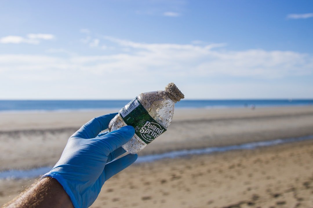 Photo Beach cleanup