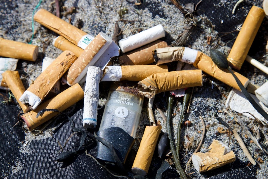 Photo Beach litter