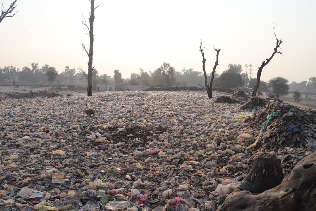 Photo Plastic pollution