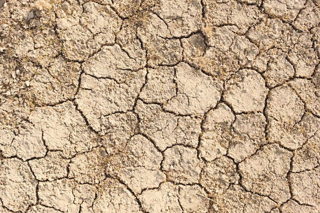 Photo Carbon emissions