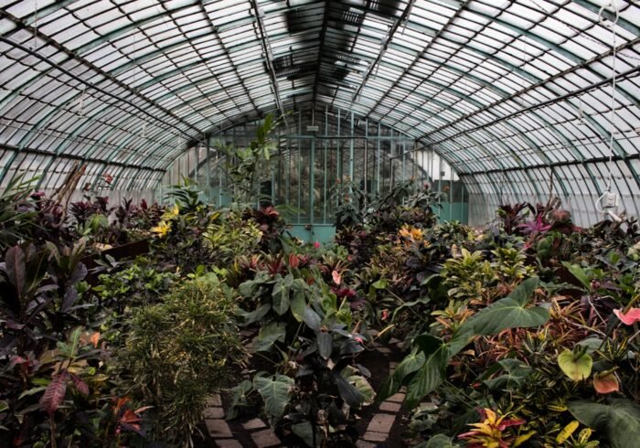 Photo Greenhouse effect