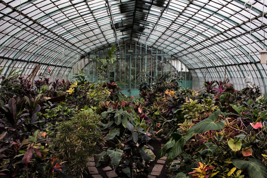 Photo Greenhouse effect