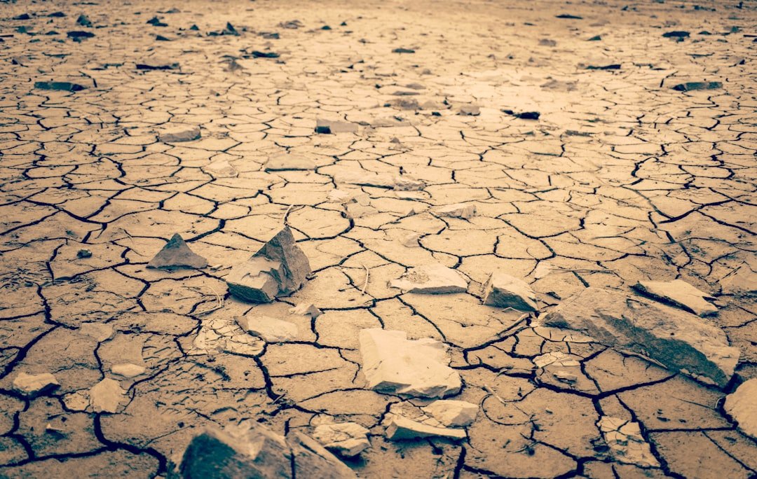 Photo Dry cracked earth