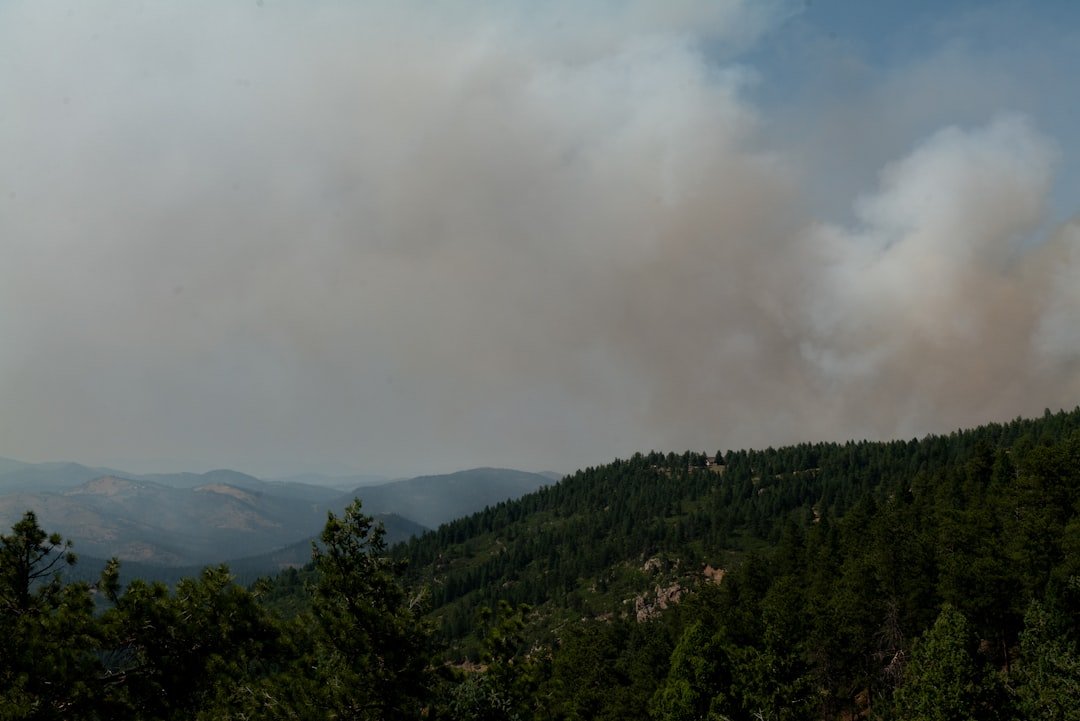 Photo Wildfire aftermath