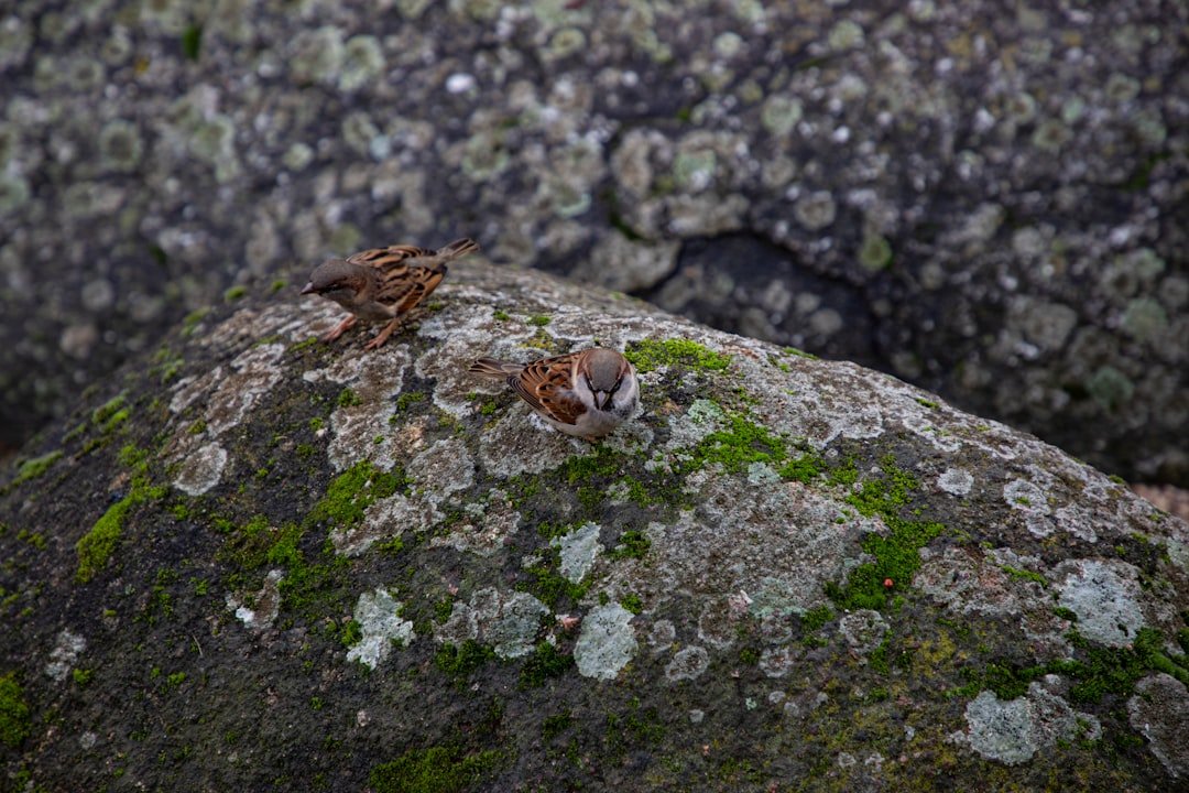 Photo Nature reserve