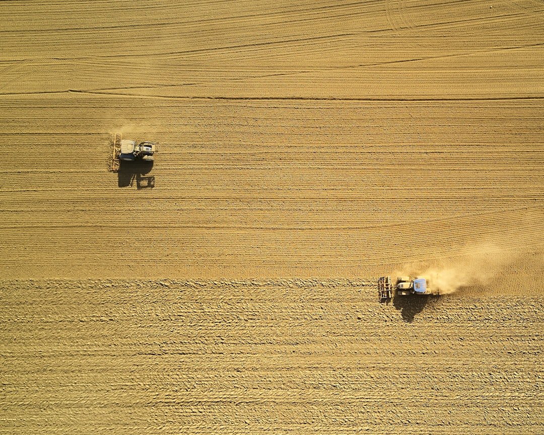 Photo Dying crops