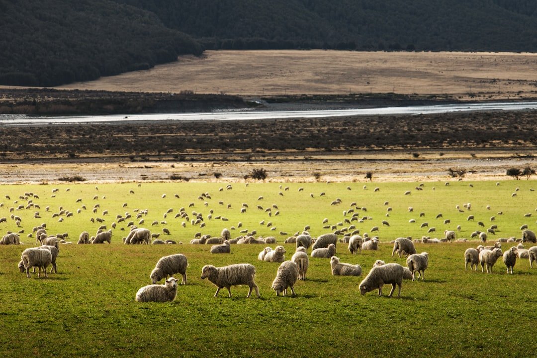 Photo Drought-stricken farmland