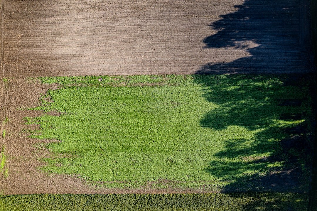 Photo Sustainable farming