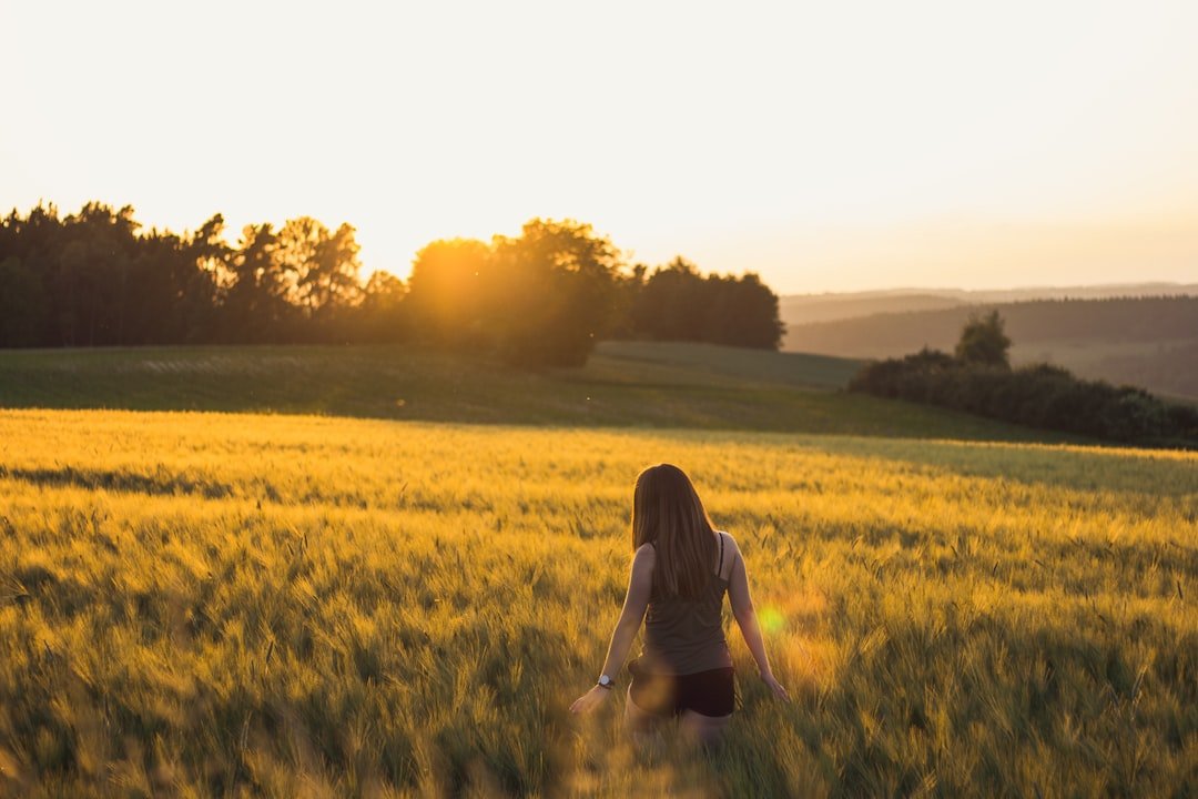 Photo Field of crops