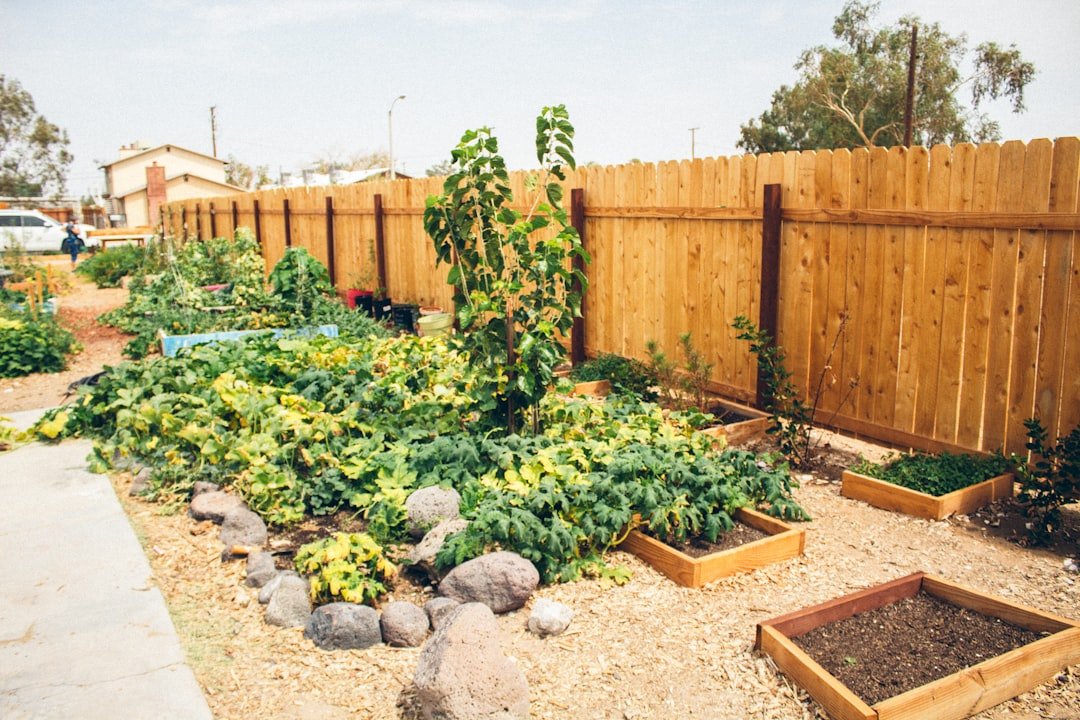 Photo Community garden