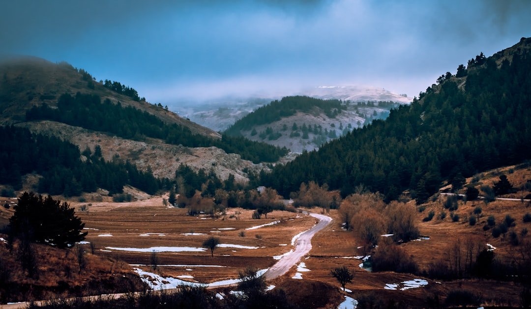 Photo Agricultural field