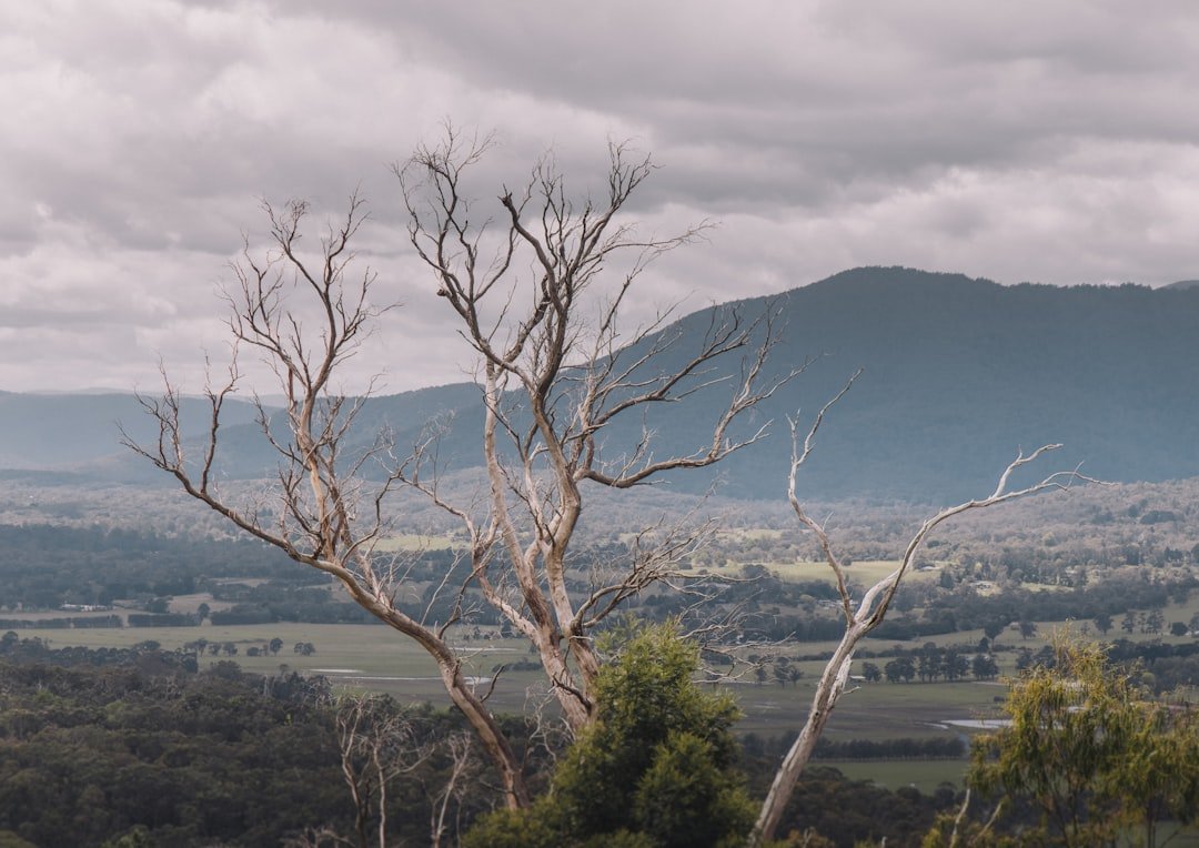 Photo Drought landscape