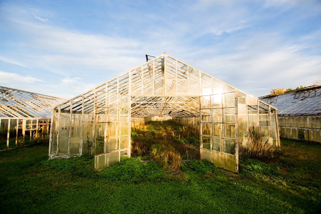 Photo Greenhouse effect