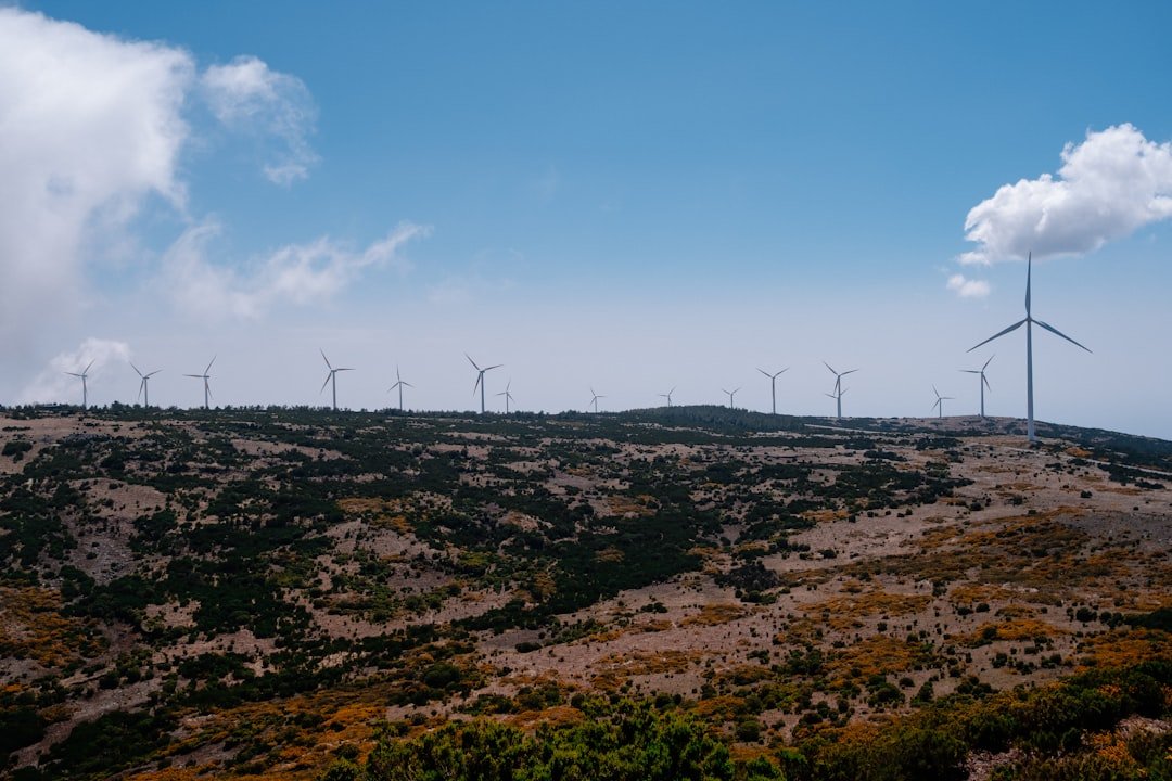 Photo Wind turbines