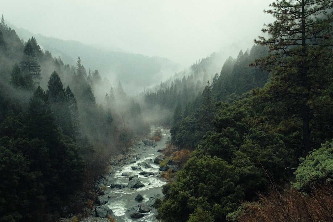 Photo Drought-stricken landscape