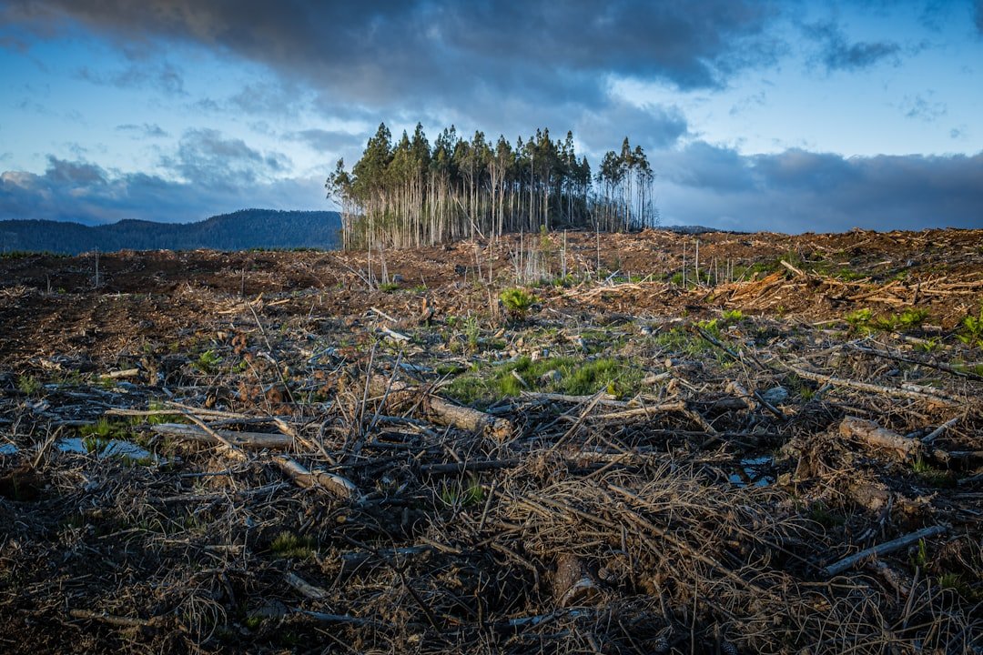 Photo Climate change