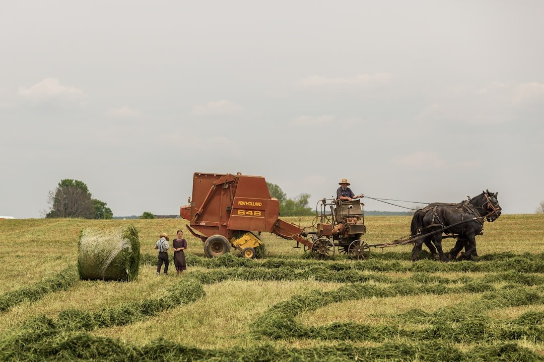 Photo Carbon Farming