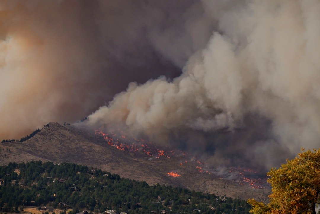 Photo Forest fire