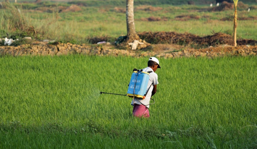 Photo Agricultural expansion