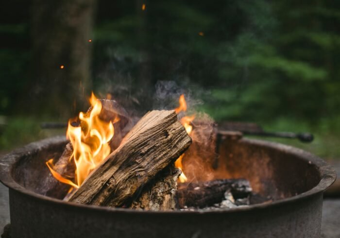 Photo Burning trees