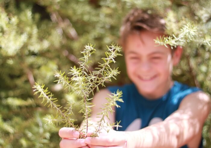 Photo Tree planting