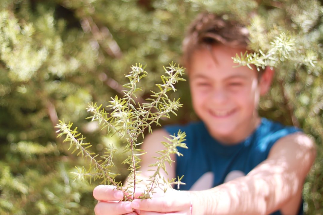 Photo Tree planting