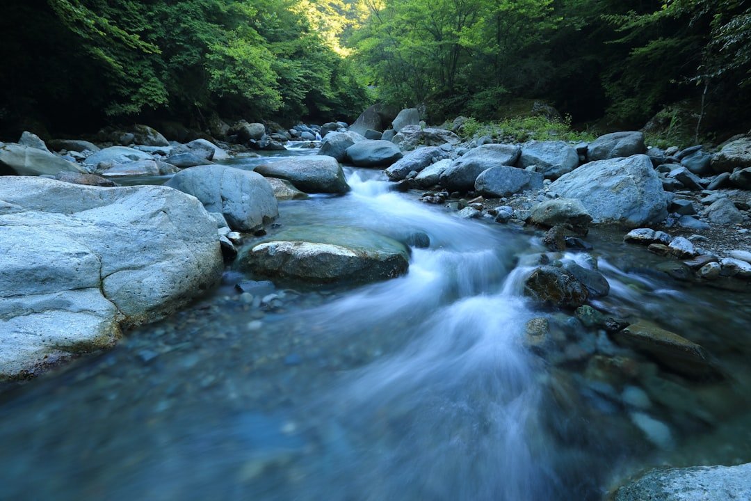 Photo Polluted river