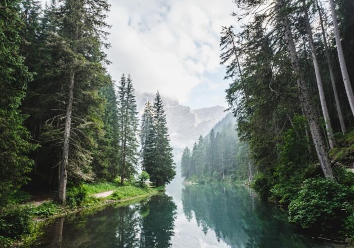 Photo Polluted river