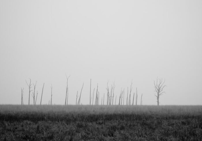 Photo Barren field