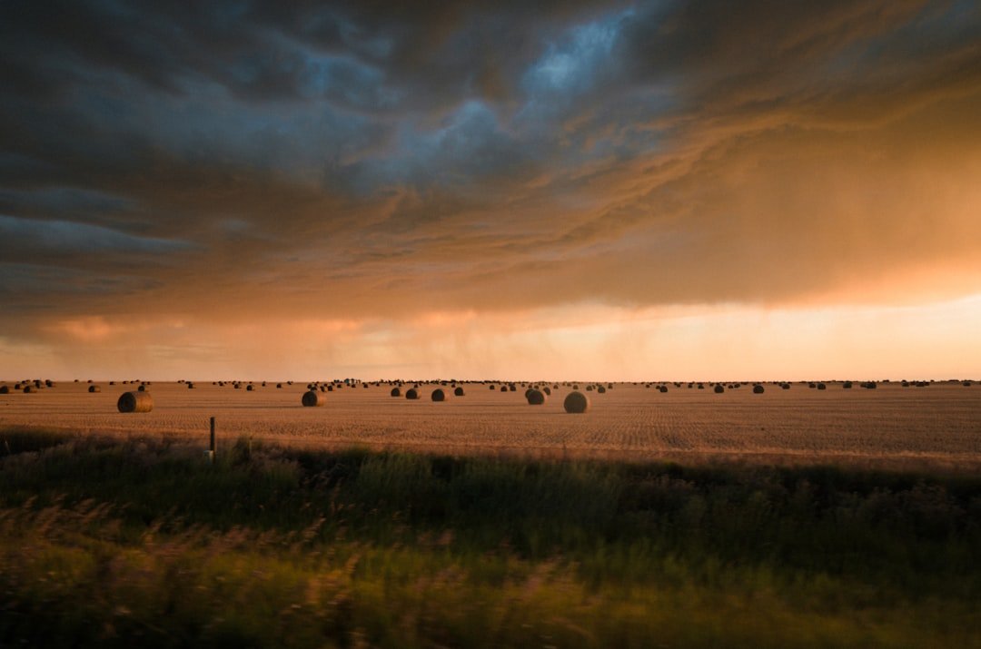 Photo Barren land