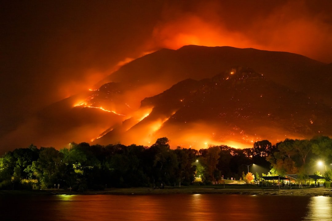 Photo Forest fire