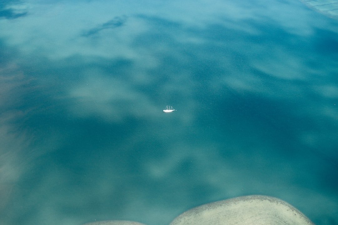 Photo Coral reef devastated