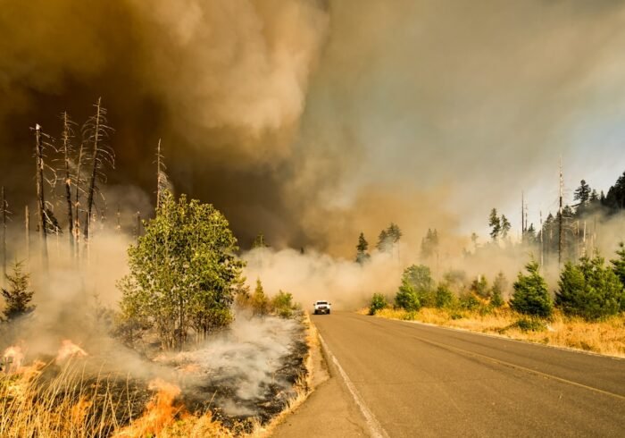 Photo Wildfire aftermath