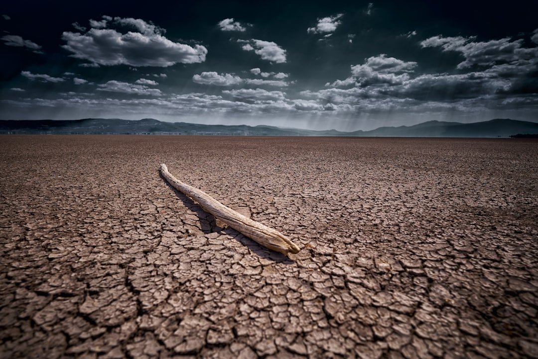Photo Cracked ground