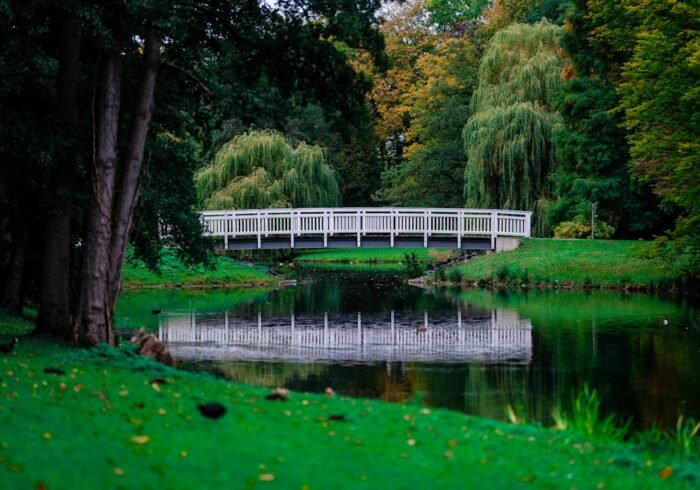 Photo Green park