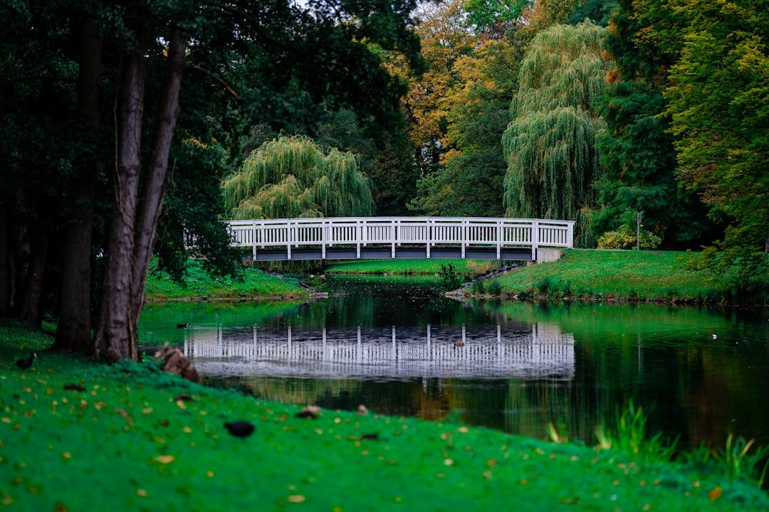 Photo Green park