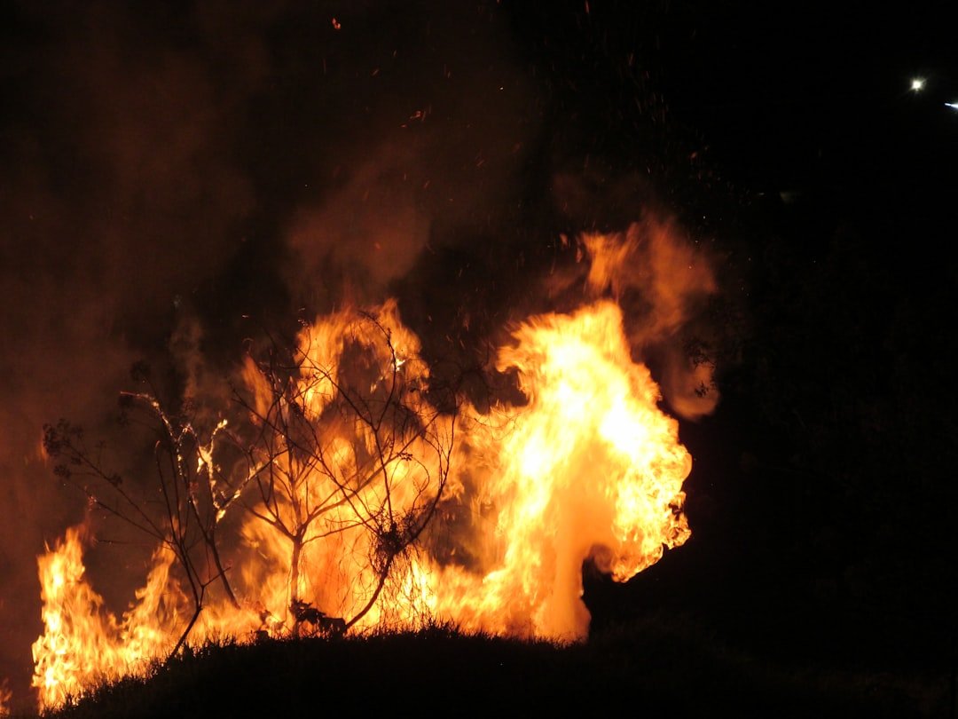 Photo Burning forest