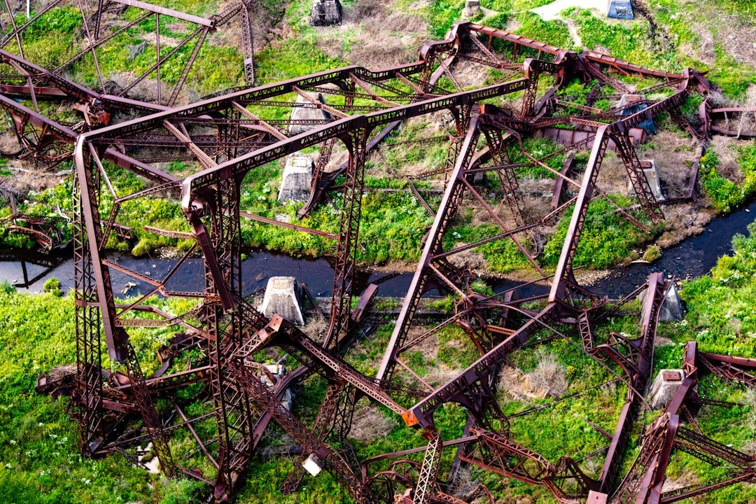 Photo Forest destruction