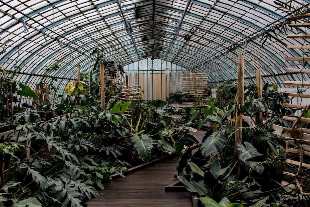 Photo Greenhouse effect