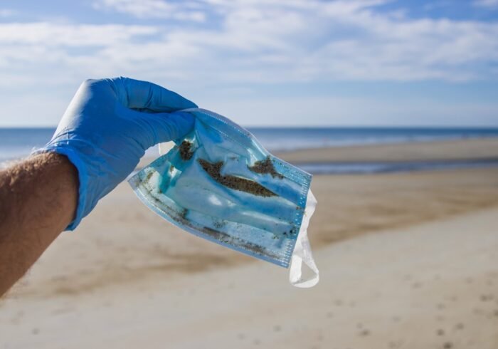 Photo Beach cleanup