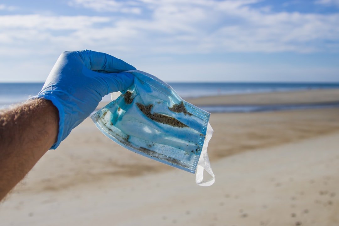 Photo Beach cleanup