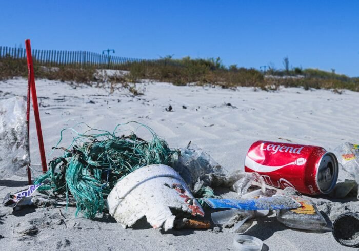 Photo Beach cleanup