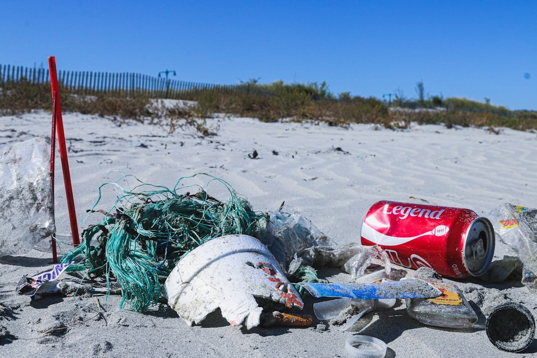 Photo Beach cleanup