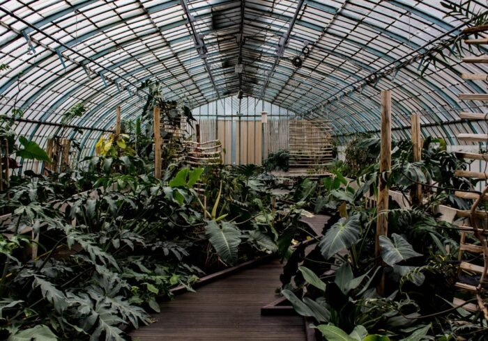 Photo Greenhouse effect